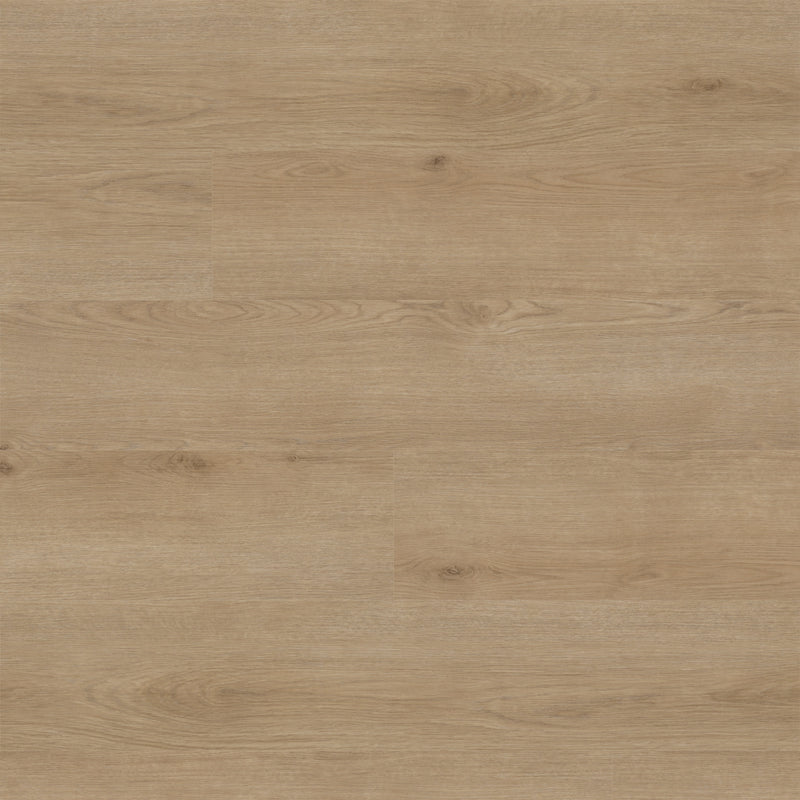 Studio Bozeman 9"x48" x 30MIL Rigid Core Luxury Vinyl Plank Flooring - MSI Collection top view