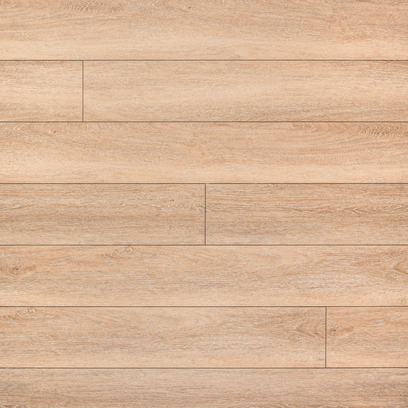 Andover Briar Haven 7"x48" Rigid Core Luxury Vinyl Plank Flooring - MSI Collection floor top view