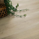 Wooden floor with a small plant and woven basket