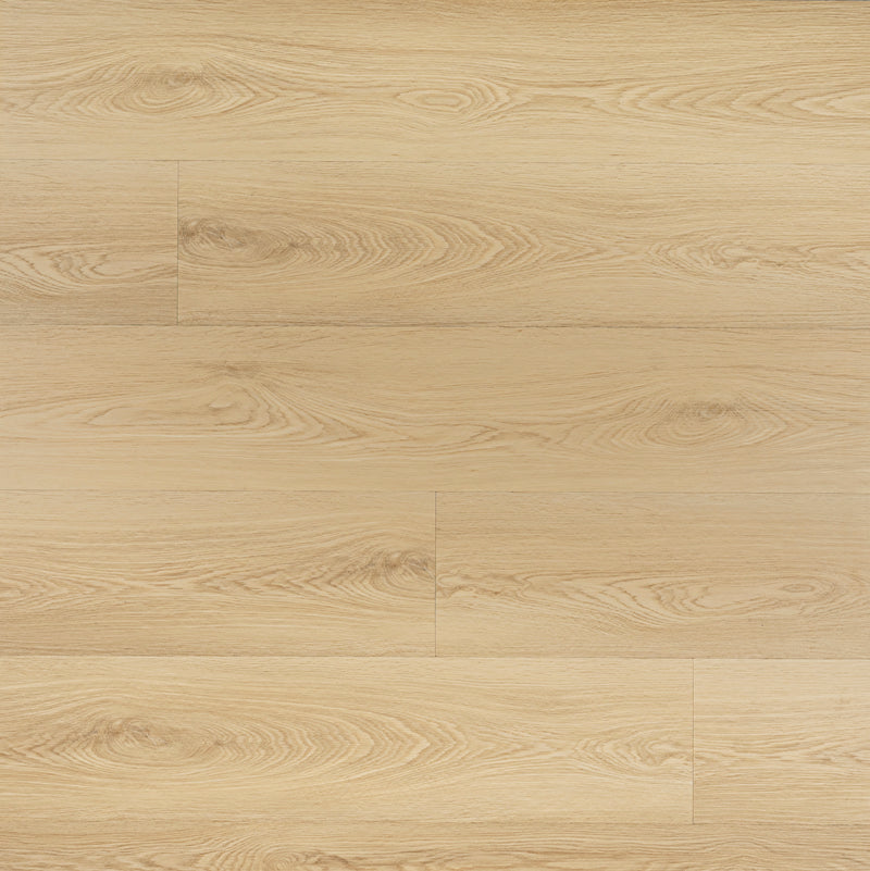 Laurel Larkin 9"x48" 20MIL Rigid Core Luxury Vinyl Plank Flooring - MSI Collection wall view