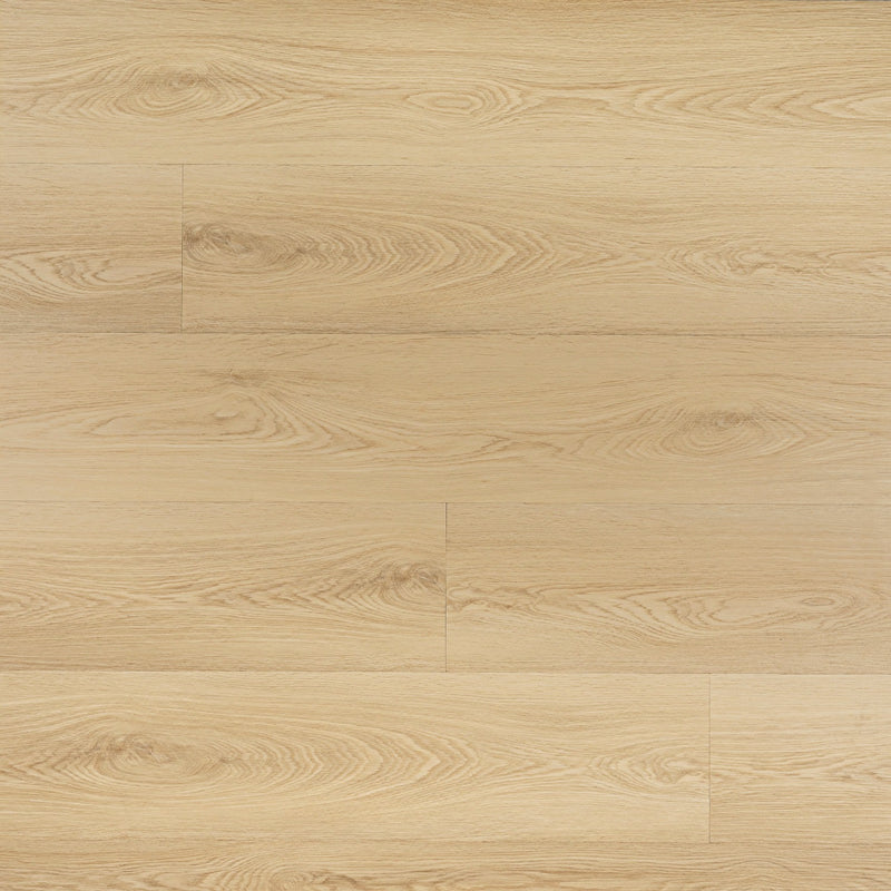 Laurel Larkin 9"x48" 20MIL Rigid Core Luxury Vinyl Plank Flooring - MSI Collection wall view