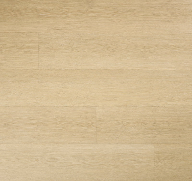 Laurel Malta 9"x48" 20MIL Rigid Core Luxury Vinyl Plank Flooring - MSI Collection wall view