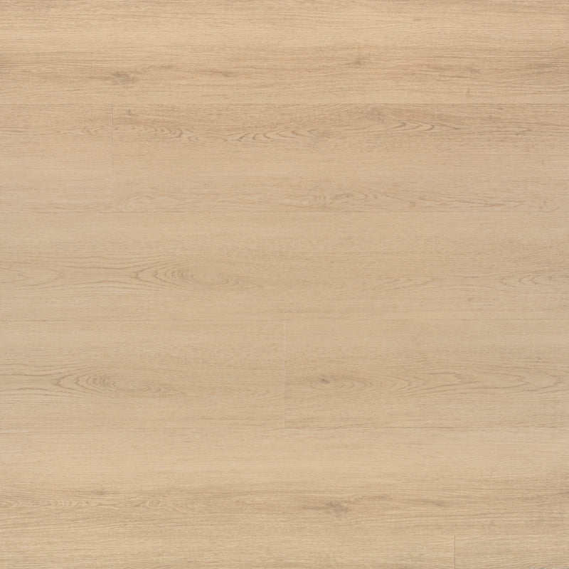 Laurel Palmilla 9"x48" 20MIL Rigid Core Luxury Vinyl Plank Flooring - MSI Collection wall view