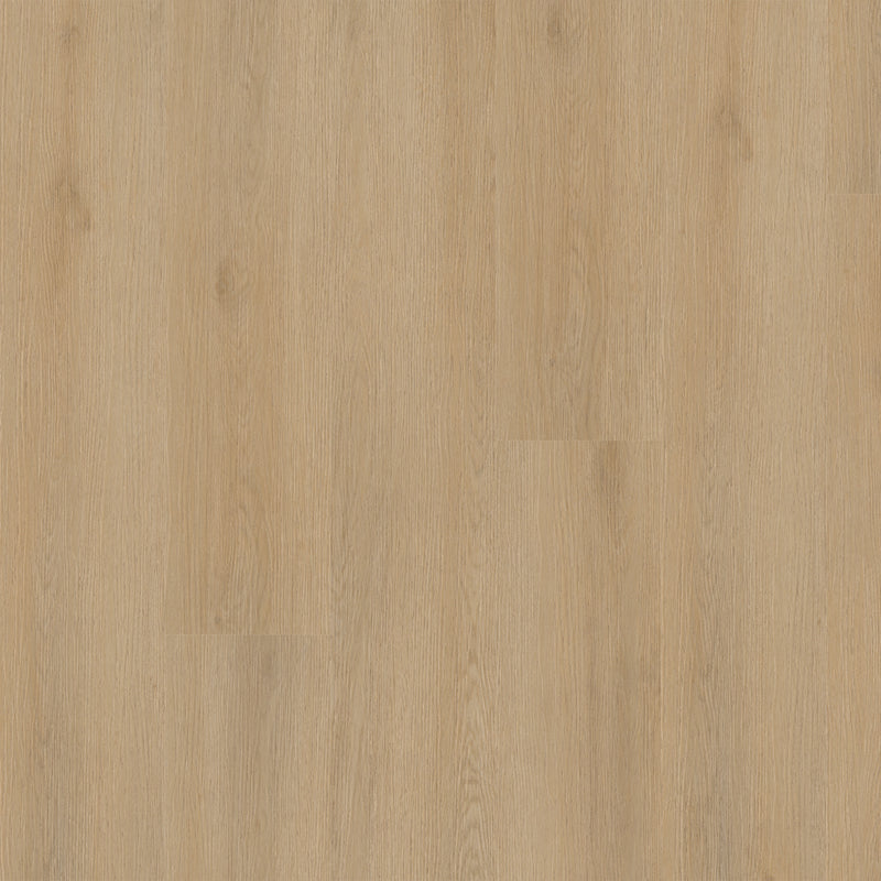 Studio Quillian 9"x48" x 30MIL Rigid Core Luxury Vinyl Plank Flooring - MSI Collection top view