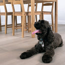 Mccarran Bourland 9.45"x86.6" Engineered Click Lock Hardwood Flooring - MSI Collection