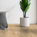 Ladson Northcutt 7.48"x75.6" Engineered Click Lock Hardwood Flooring - MSI Collection