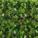 Artificial Plants Green Wall Panel - <b>EVERGREEN</b> - 1.6' x 1.6' - | DECKO VERDURE (2,56 sq. feet panel)