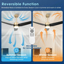 Vaczon 42 Inch 3-Blades Modern Ceiling Fan with Remote Control and LED Light
