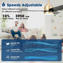 Vaczon 42 Inch 3-Blades Modern Ceiling Fan with Remote Control and LED Light