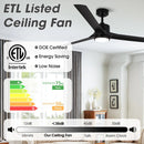 Vaczon 60" Industrial Fan with LED Lighting and Remote Control