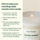 Vanilla Amber Naturally Scented Candle
