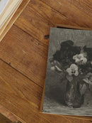 Vase of Flowers Drawing