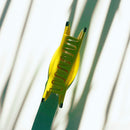 Velvet Claws Banana Hair Clip