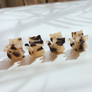 Velvet Claws Mini Kitty Claw Set of 4 Hair Claws | Hair Claw Clip