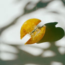 Velvet Claws Mini Mushroom Hair Clip in Orange