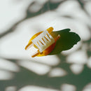 Velvet Claws Mini Mushroom Hair Clip in Orange