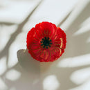 Velvet Claws Round Poppy Small Hair Claw