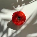 Velvet Claws Round Poppy Small Hair Claw
