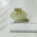Velvet Claws Seashell Claw Set of 2: Pearl and Purple | Hair Claw Clip