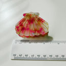 Velvet Claws Seashell Claw Set of 2: Aqua and Coral | Hair Claw Clip