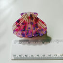 Velvet Claws Seashell Claw Set of 2: Pearl and Purple | Hair Claw Clip