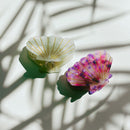 Velvet Claws Seashell Claw Set of 2: Pearl and Purple | Hair Claw Clip