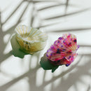 Velvet Claws Seashell Claw Set of 2: Pearl and Purple | Hair Claw Clip