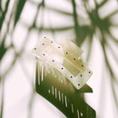 Velvet Claws Uptown Lady in White Dot Hair Clip