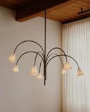 Vera Chandelier