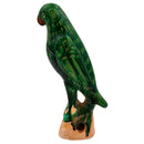 Verde Voyager Parrot