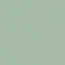 Light Green Porcelain Square Foot 50x50
