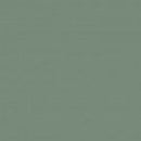 Green Porcelain Square Foot 50x50