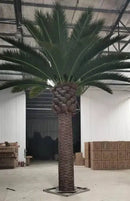 Florida Palm Artificial Tree 13ft–23ft – UV Resistant (10–12 Week Lead Time)