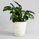Terra Cotta Basic Planter, White Patina