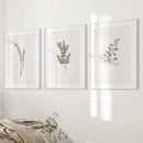 Vintage Floral 3 Piece Wall Art. Rustic Botanical Posters