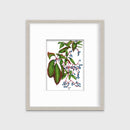 Virginia Creeper - Open Edition Paper Print