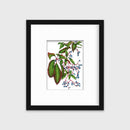 Virginia Creeper - Open Edition Paper Print