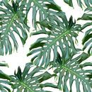 Green Monstera Wallpaper