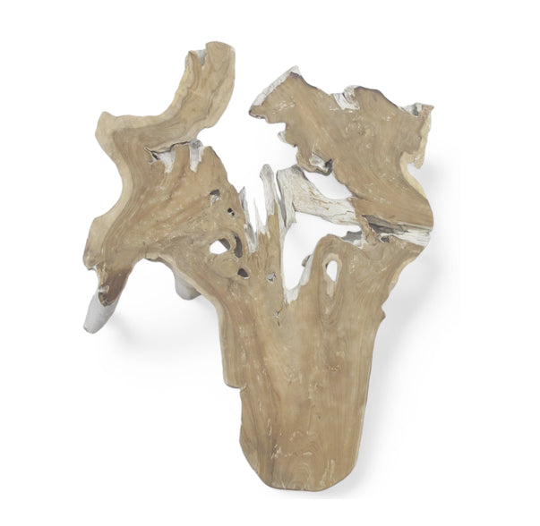 CB2 Teak Root Wall Sculpture