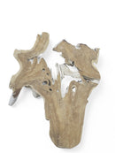 Organic Teak Root Sculpture Wall Art 12