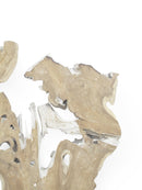 Organic Teak Root Sculpture Wall Art 12