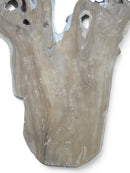 Organic Teak Root Sculpture Wall Art 12