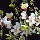 Modish Gentle Flowers on Dark Background Wallpaper Smart