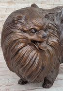 Life Size Pomeranian Dog Puppy Bronze Statue Sculpture Figurine Handmade 13" x 16"
