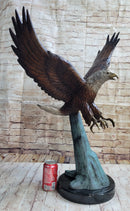 Swooping American Bald Eagle Real Bronze Sculpture Indoor Outdoor Statue 30" x 21"