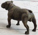 English Bulldog Miniature Bronze Statue Sculpture Figure Figurine Original Art 3" x 6"