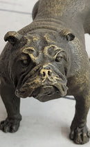 English Bulldog Miniature Bronze Statue Sculpture Figure Figurine Original Art 3" x 6"