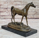 Western Bronze ART France warm-blooded fine horse Animals statue Figurine Figure