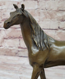 Western Bronze ART France warm-blooded fine horse Animals statue Figurine Figure