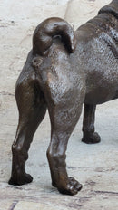 Hot Cast Bronze Shar Pei Dog Sculpture Statue Figurine Original Art